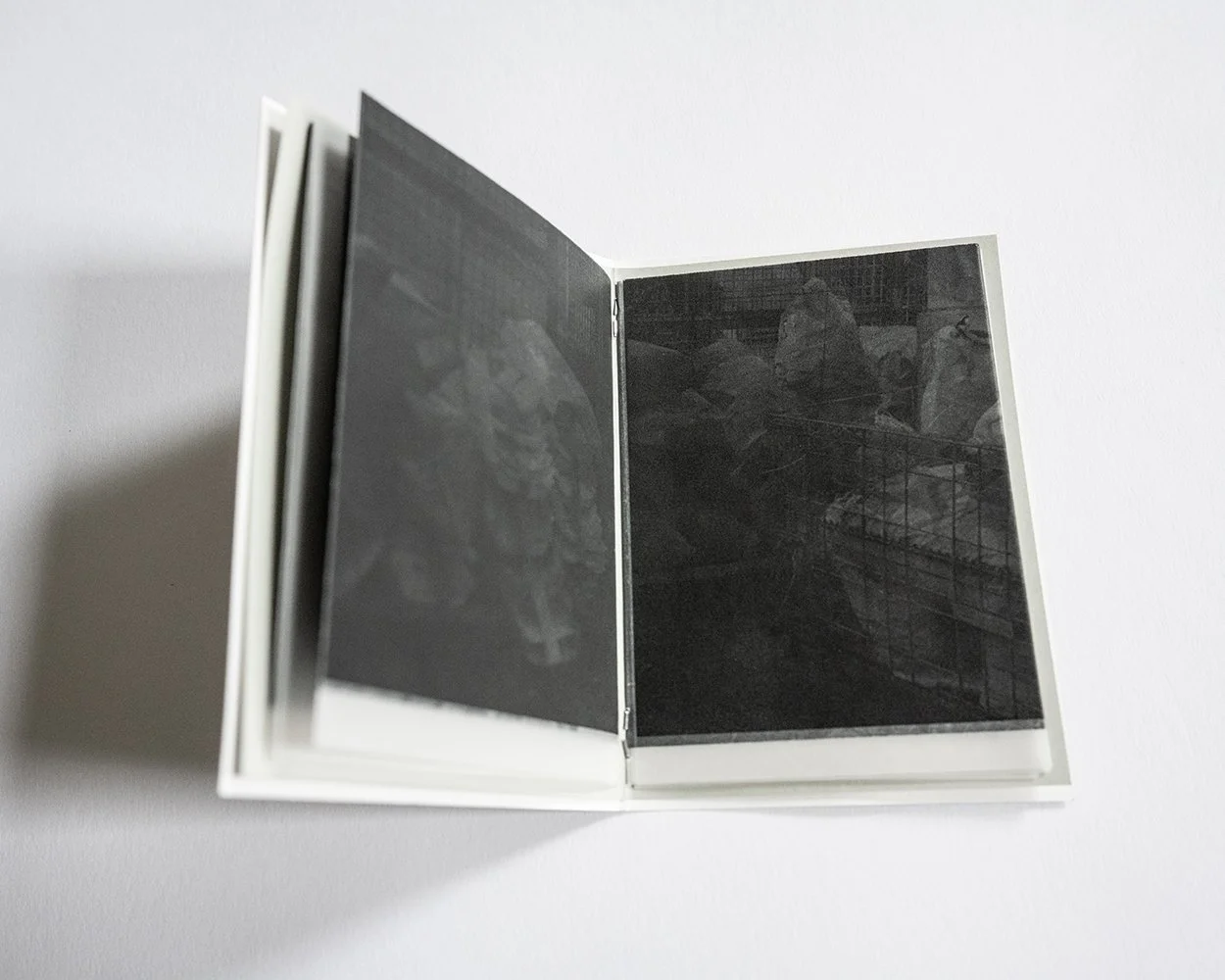 洋書 Instant Light: Tarkovsky Polaroids Instant Light Tarkovsky Polaroids photo book 2004 Rare used